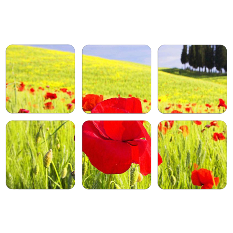 Магнитные фотопазлы 50 на 50 набор 6 штук Мак