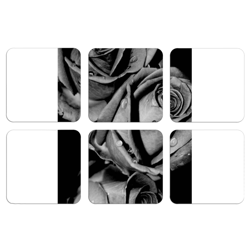 Магнитные фотопазлы 50 на 50 набор 6 штук Black and White Roses