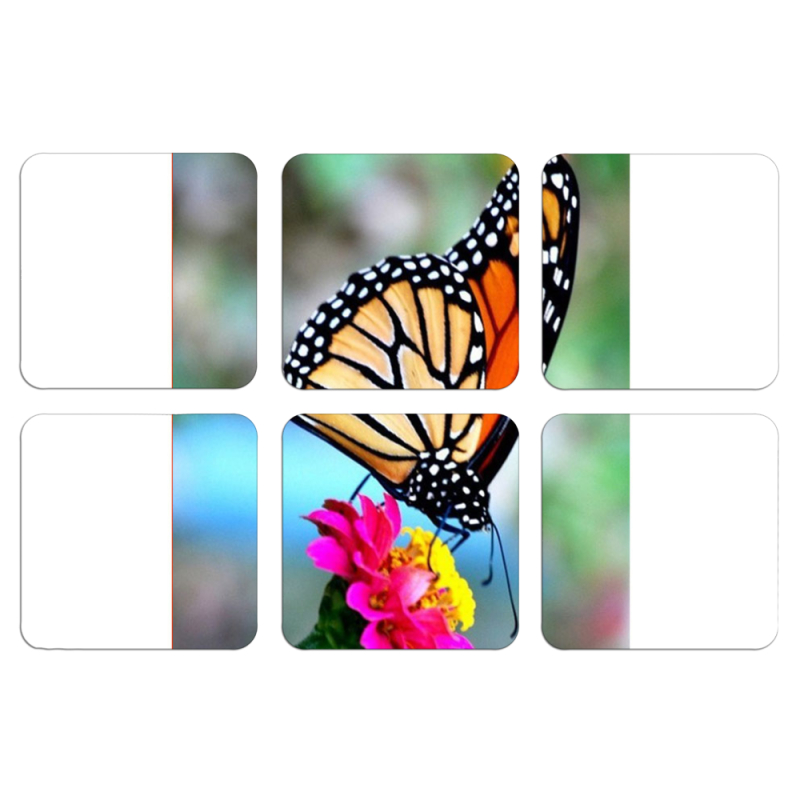 Магнитные фотопазлы 50 на 50 набор 6 штук 