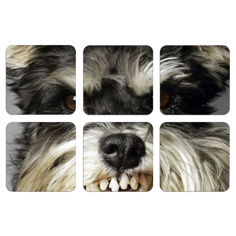 Магнитные фотопазлы 50 на 50 набор 6 штук Cursor