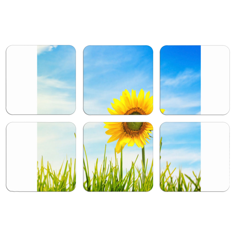 Магнитные фотопазлы 50 на 50 набор 6 штук Sunflower Heaven