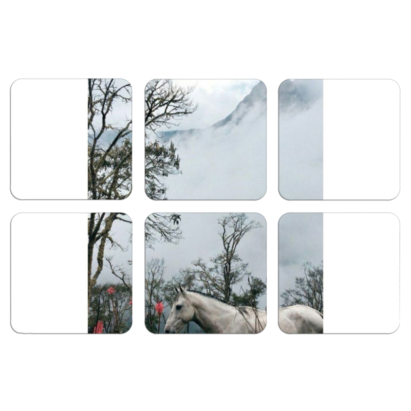 Магнитные фотопазлы 50 на 50 набор 6 штук 