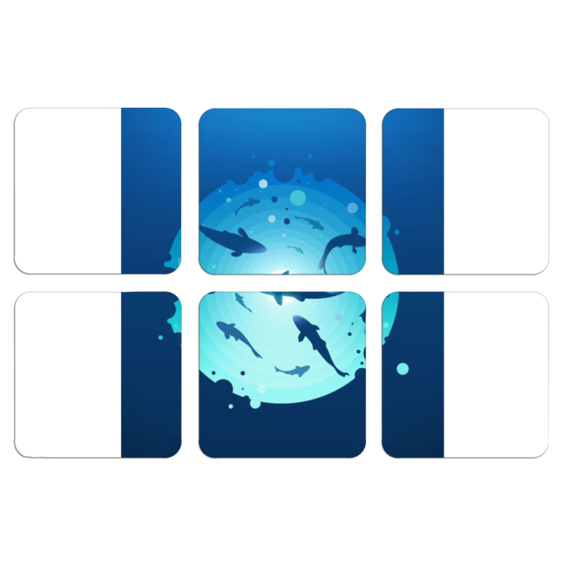 Магнитные фотопазлы 50 на 50 набор 6 штук 