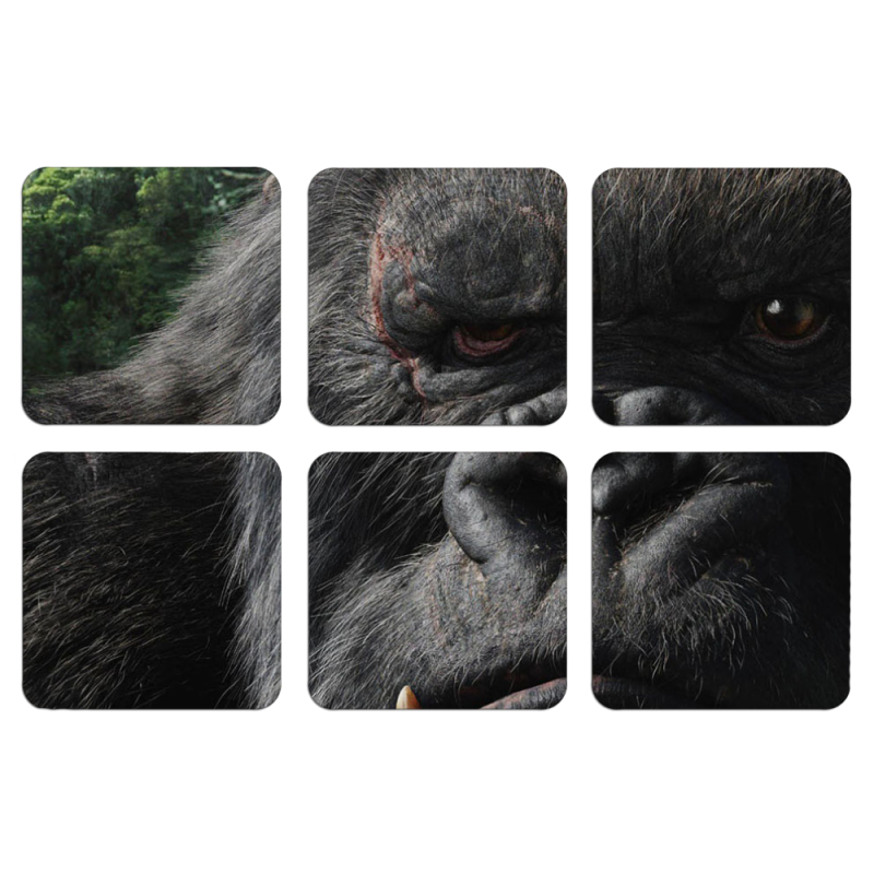 Магнитные фотопазлы 50 на 50 набор 6 штук Kong