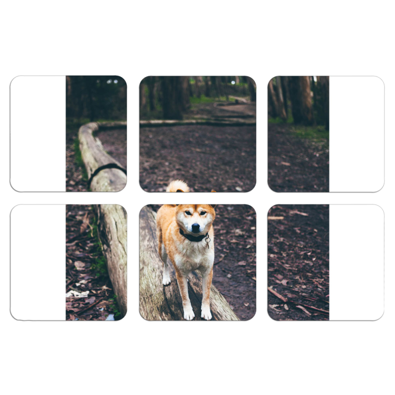 Магнитные фотопазлы 50 на 50 набор 6 штук 