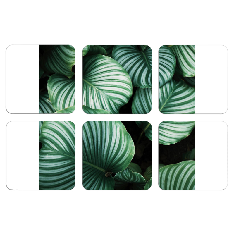 Магнитные фотопазлы 50 на 50 набор 6 штук 