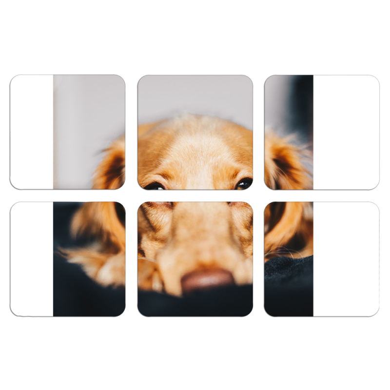 Магнитные фотопазлы 50 на 50 набор 6 штук 