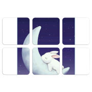 Магнитные фотопазлы 50 на 50 набор 6 штук Moon Bunny