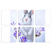 Магнитные фотопазлы 50 на 50 набор 6 штук 