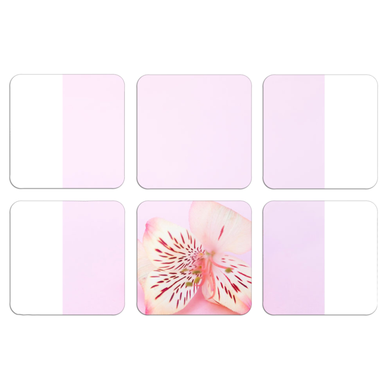 Магнитные фотопазлы 50 на 50 набор 6 штук 