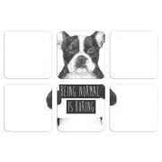 Магнитные фотопазлы 50 на 50 набор 6 штук 