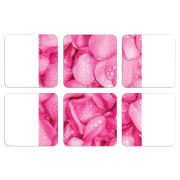 Магнитные фотопазлы 50 на 50 набор 6 штук 