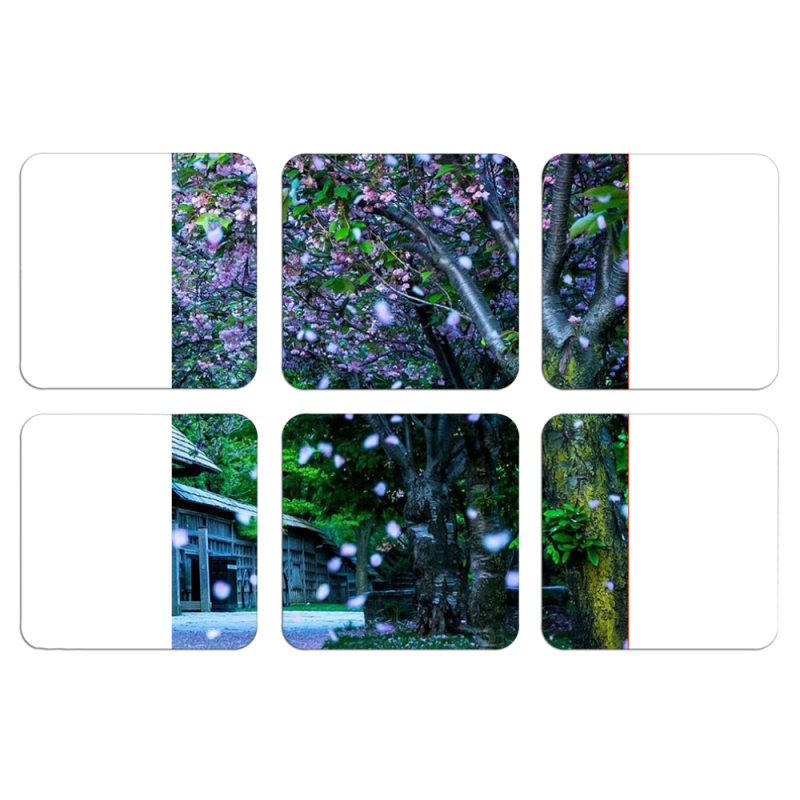 Магнитные фотопазлы 50 на 50 набор 6 штук 