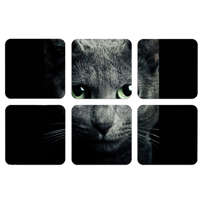 Магнитные фотопазлы 50 на 50 набор 6 штук 