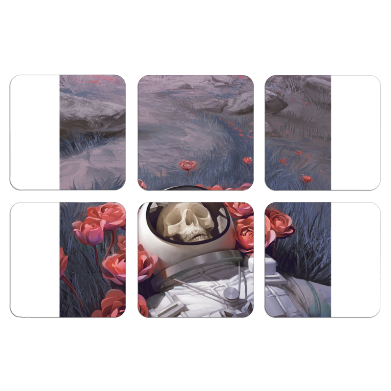 Магнитные фотопазлы 50 на 50 набор 6 штук 