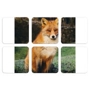 Магнитные фотопазлы 50 на 50 набор 6 штук 