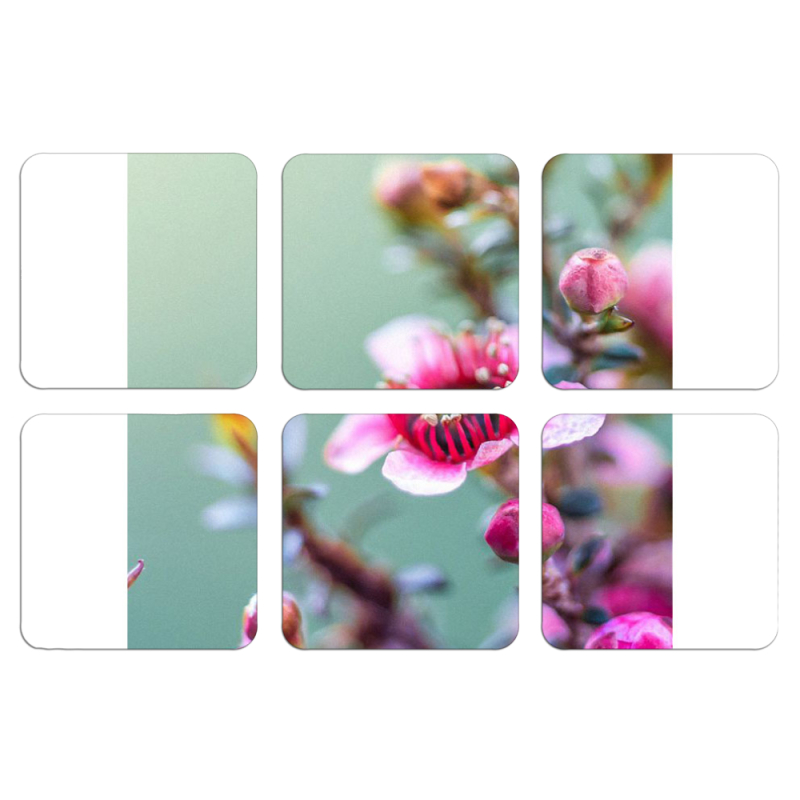 Магнитные фотопазлы 50 на 50 набор 6 штук 