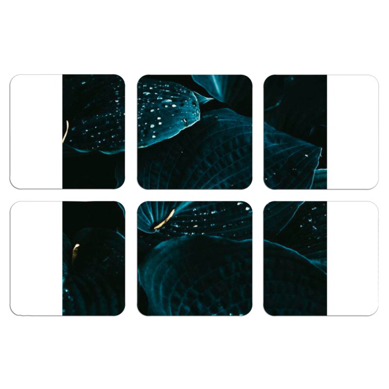 Магнитные фотопазлы 50 на 50 набор 6 штук 