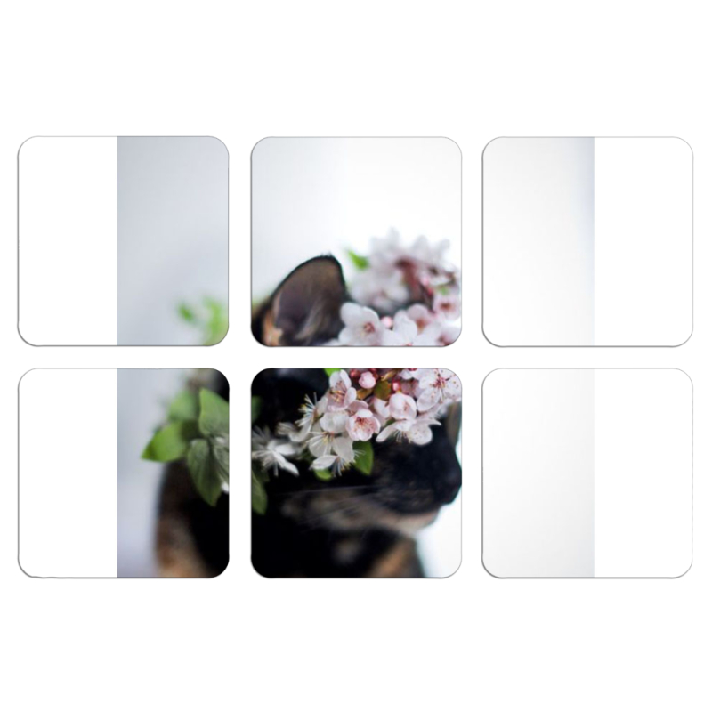 Магнитные фотопазлы 50 на 50 набор 6 штук 