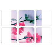 Магнитные фотопазлы 50 на 50 набор 6 штук 