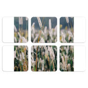 Магнитные фотопазлы 50 на 50 набор 6 штук 