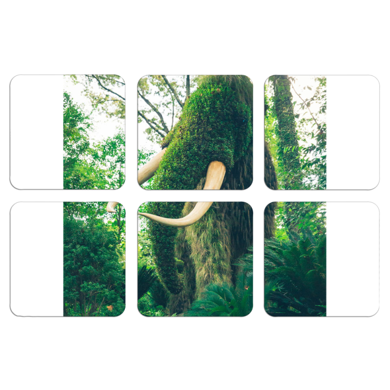 Магнитные фотопазлы 50 на 50 набор 6 штук 