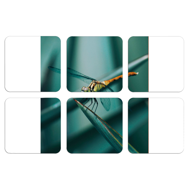 Магнитные фотопазлы 50 на 50 набор 6 штук 