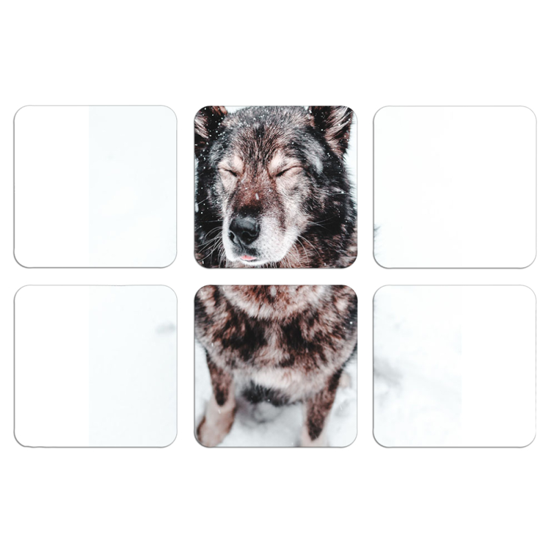 Магнитные фотопазлы 50 на 50 набор 6 штук 