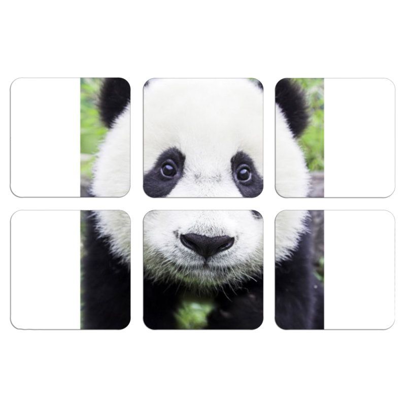 Магнитные фотопазлы 50 на 50 набор 6 штук 