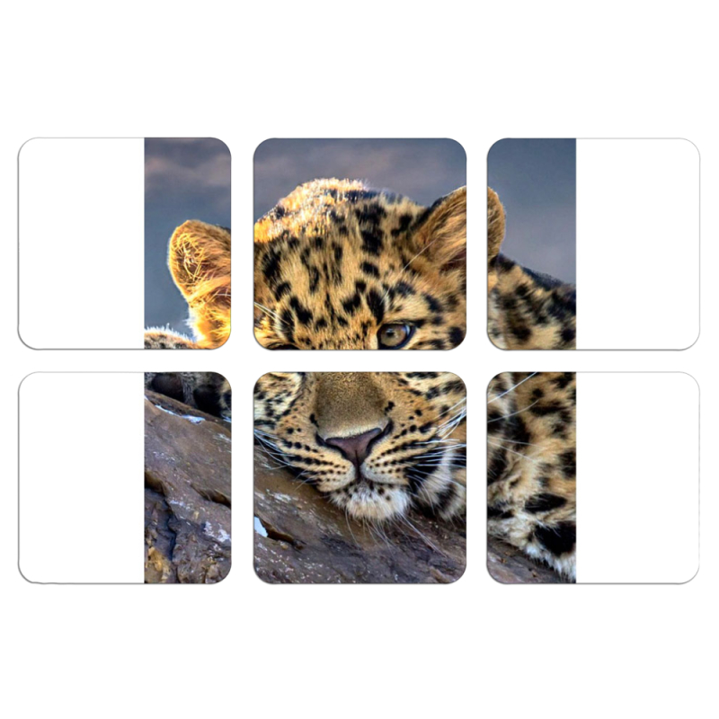 Магнитные фотопазлы 50 на 50 набор 6 штук 