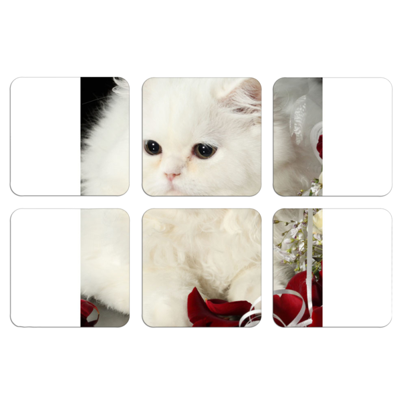 Магнитные фотопазлы 50 на 50 набор 6 штук Fluffy Cat