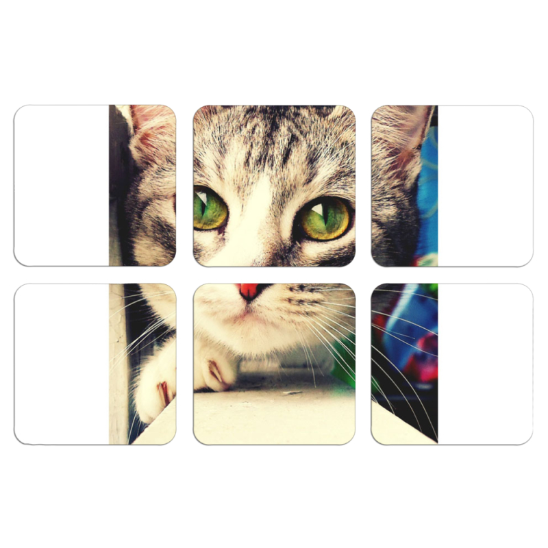 Магнитные фотопазлы 50 на 50 набор 6 штук 