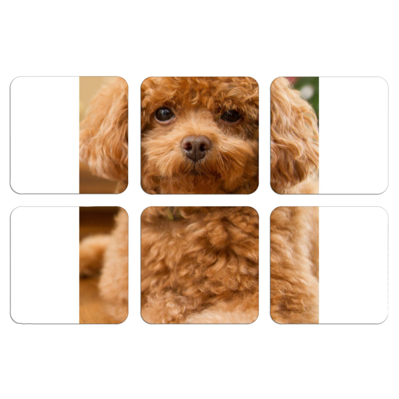 Магнитные фотопазлы 50 на 50 набор 6 штук 