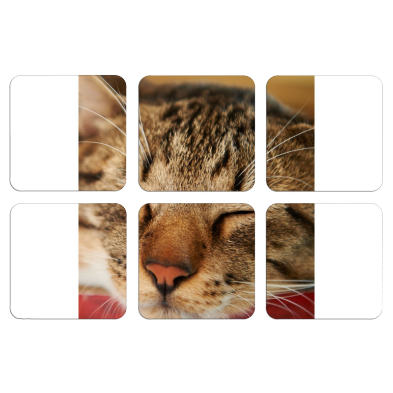 Магнитные фотопазлы 50 на 50 набор 6 штук 