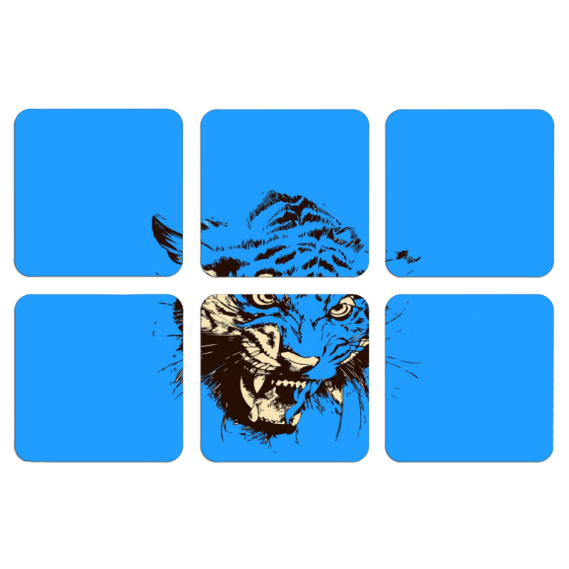 Магнитные фотопазлы 50 на 50 набор 6 штук 