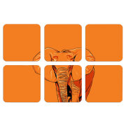 Магнитные фотопазлы 50 на 50 набор 6 штук 