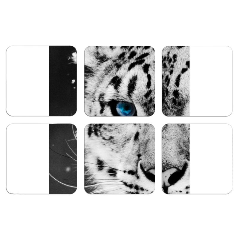 Магнитные фотопазлы 50 на 50 набор 6 штук 