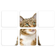 Магнитные фотопазлы 50 на 50 набор 6 штук 