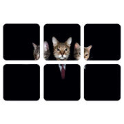 Магнитные фотопазлы 50 на 50 набор 6 штук 