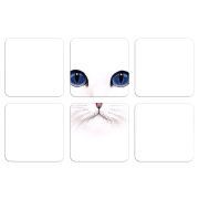 Магнитные фотопазлы 50 на 50 набор 6 штук 