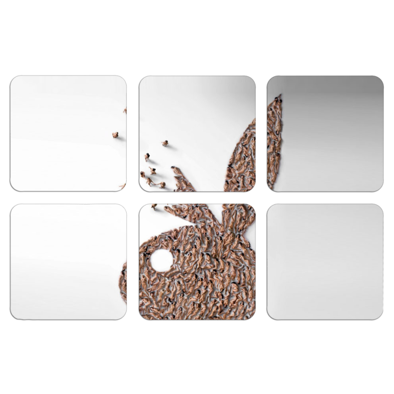 Магнитные фотопазлы 50 на 50 набор 6 штук 