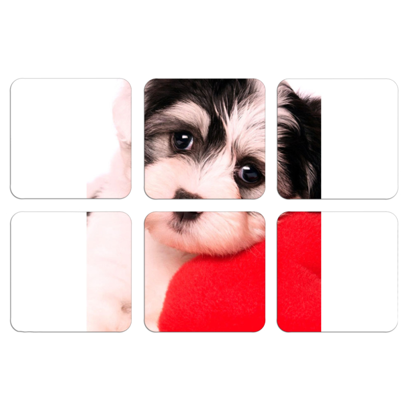 Магнитные фотопазлы 50 на 50 набор 6 штук 