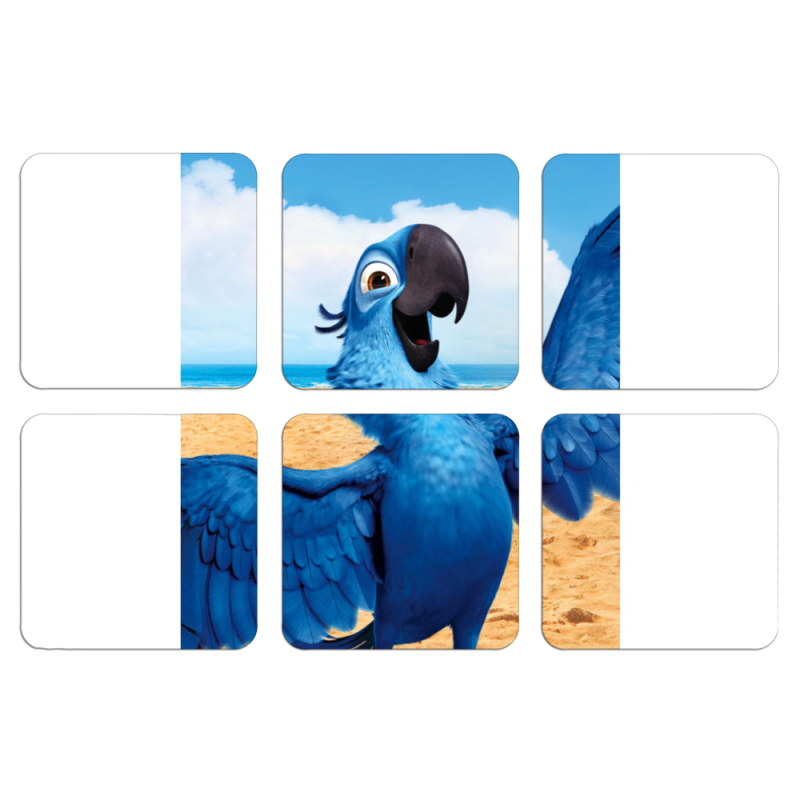 Магнитные фотопазлы 50 на 50 набор 6 штук 