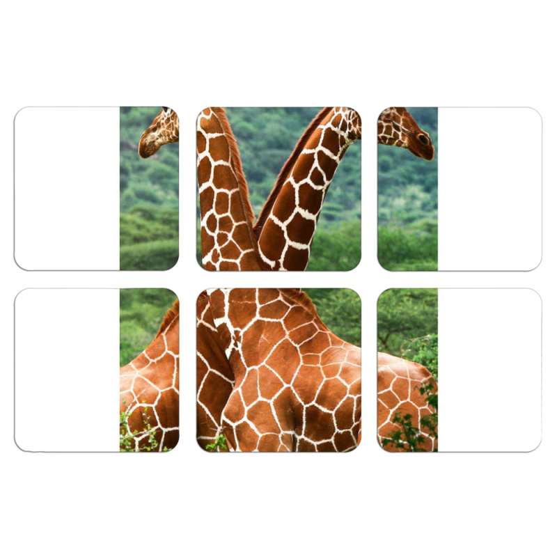 Магнитные фотопазлы 50 на 50 набор 6 штук 