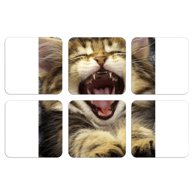 Магнитные фотопазлы 50 на 50 набор 6 штук 