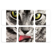 Магнитные фотопазлы 50 на 50 набор 6 штук 