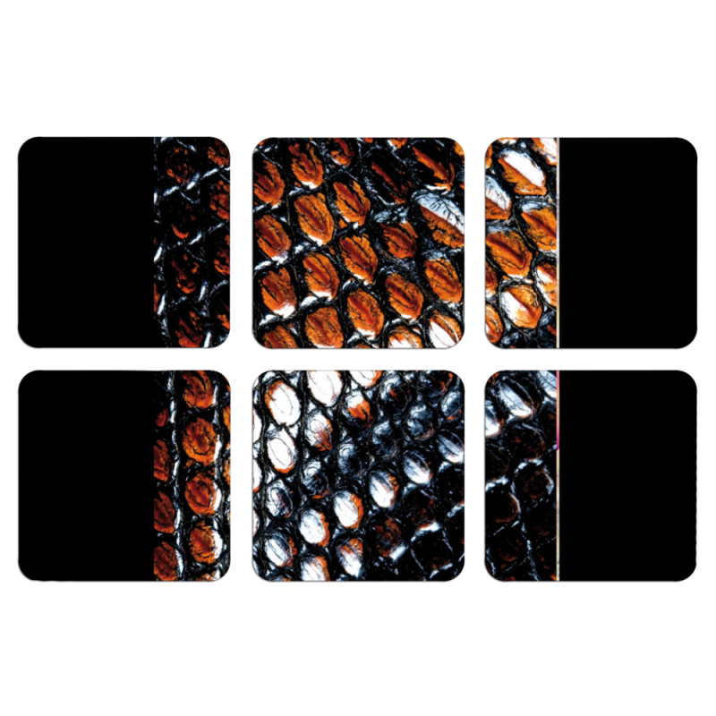 Магнитные фотопазлы 50 на 50 набор 6 штук 