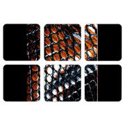 Магнитные фотопазлы 50 на 50 набор 6 штук 