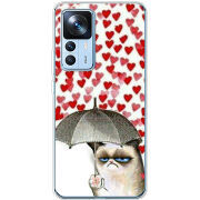 Чехол BoxFace Xiaomi 12T / 12T Pro Raining Hearts