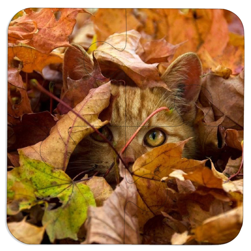 Магнитные фотопазлы 100 на 100 